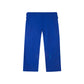 ALLIANCE PRO GI